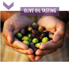 oliveoil-05